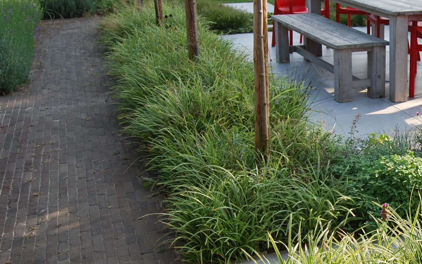 Privé tuin | Geel, België | Straatbaksteen: Pastorale Getrommeld UWF65