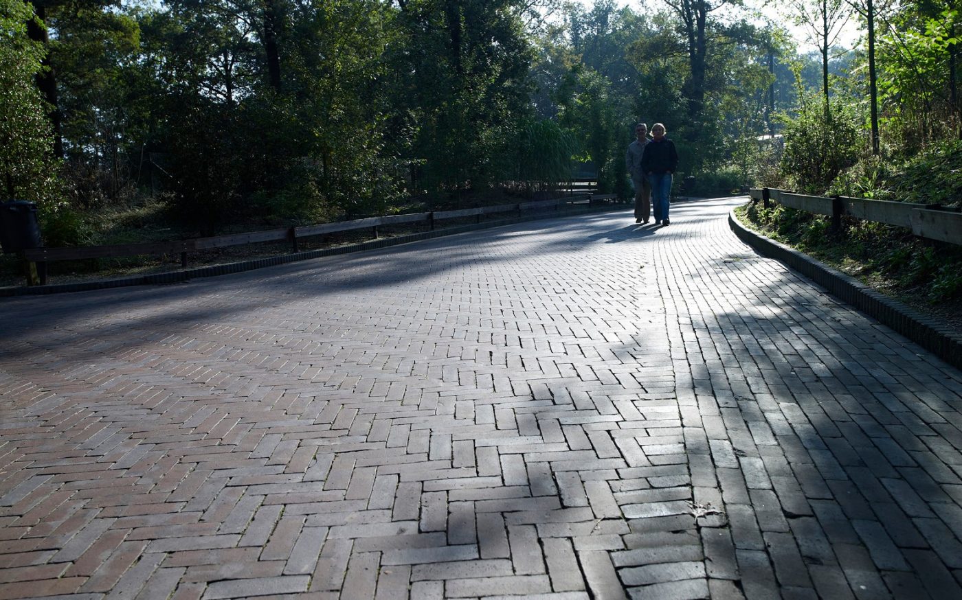 Dierentuin Burger's zoo, Arnhem | Straatbaksteen: Oliva Wasserstrich DF