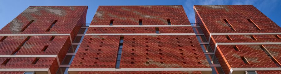 Exceptional and complex | The George