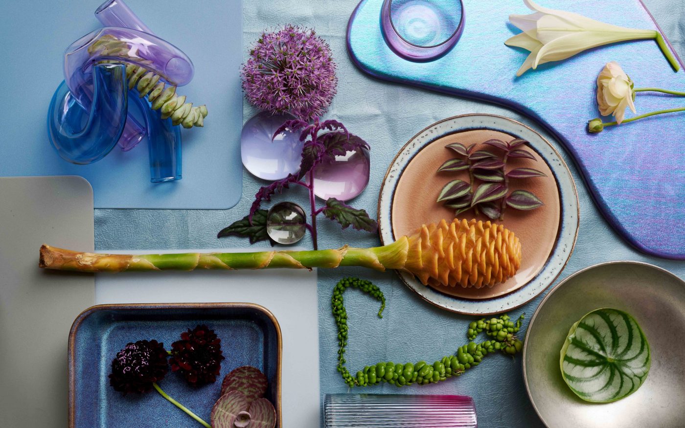 Mooiwatplantendoen.nl