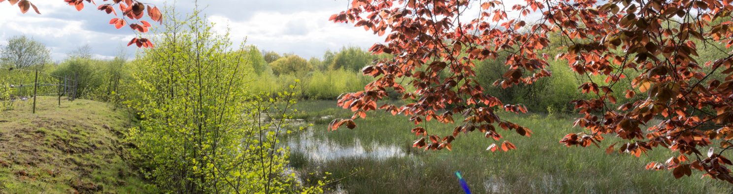 Keurmerken duurzaamheid tuinbestrating