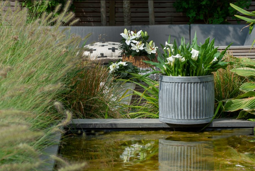 Imagine! Magazine sfeerbeeld | Alleen te gebruiken in Nederland