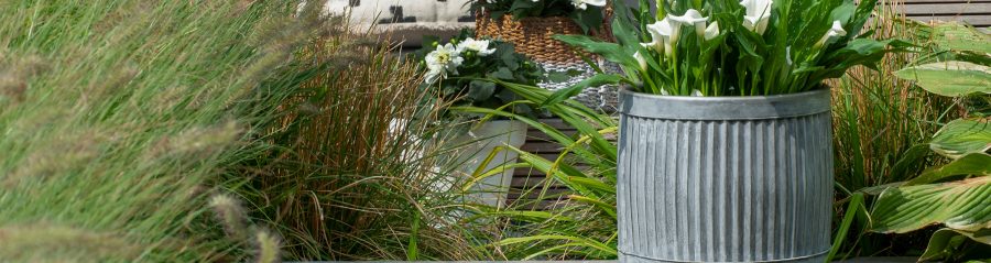 Imagine! Magazine sfeerbeeld | Alleen te gebruiken in Nederland