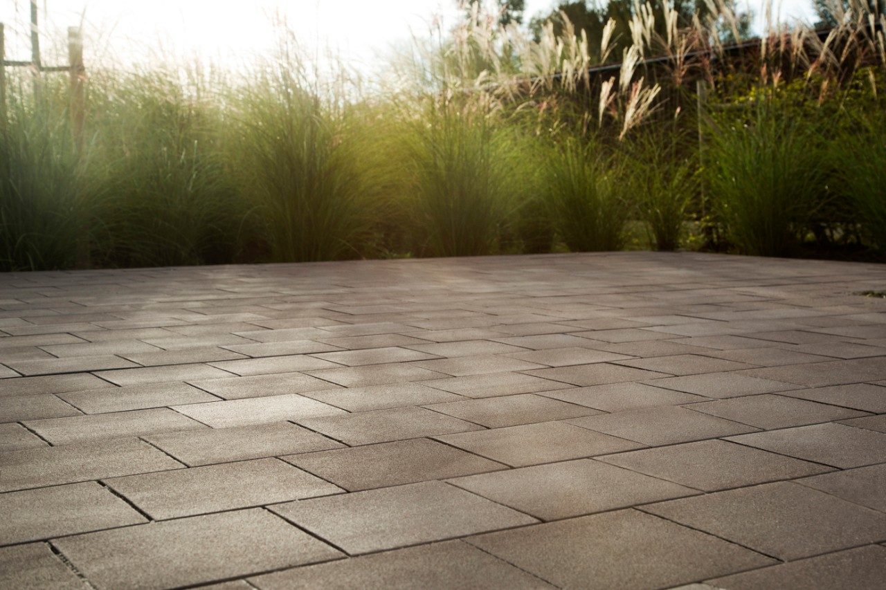 Particuliere tuin, Kortrijk