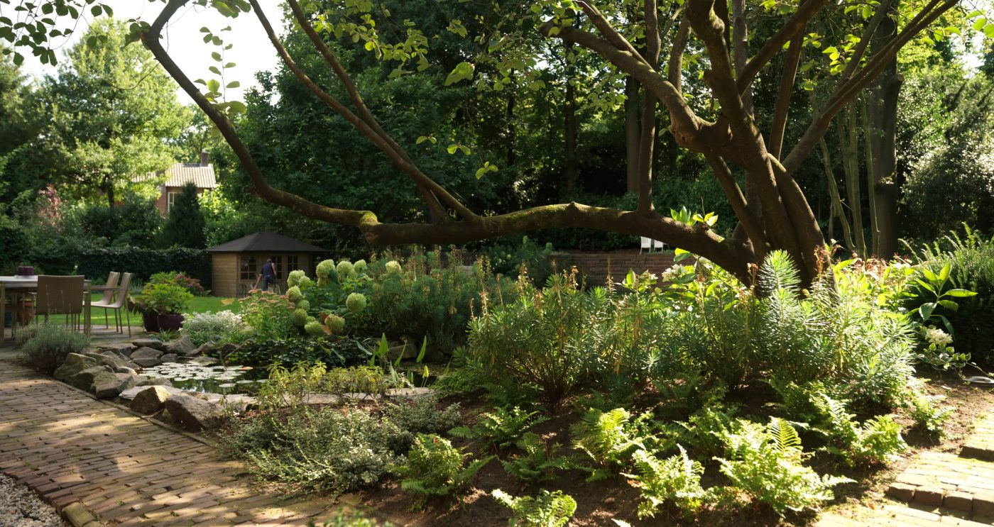 Imagine! Magazine sfeerbeeld | Alleen te gebruiken in Nederland