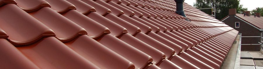 Ikbendakdekker: Dick Dunnewind