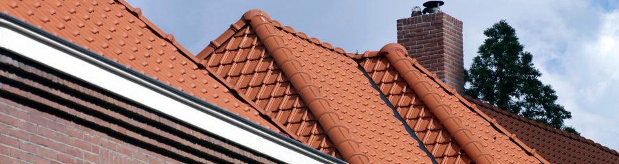 Ikbendakdekker: Frank Meulendijks werkt graag met vaste partners