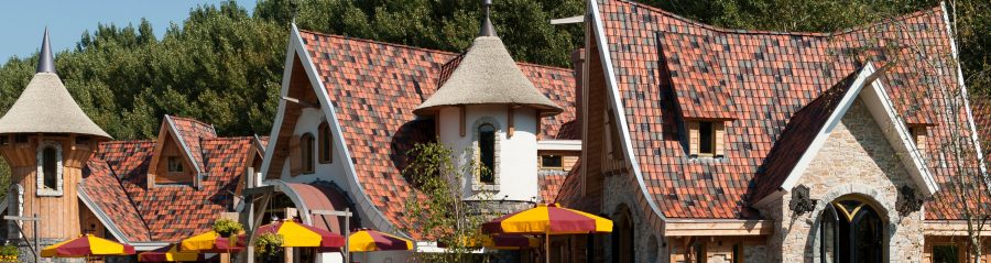 Ikbendakdekker: Gerard Lageweg en het pannenkoekenhuis