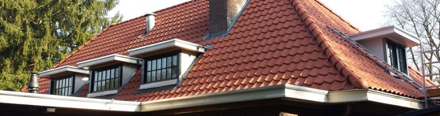 Ikbendakdekker: Piet Hezemans