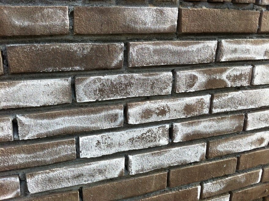 Vroege witte uitslag op een gevel