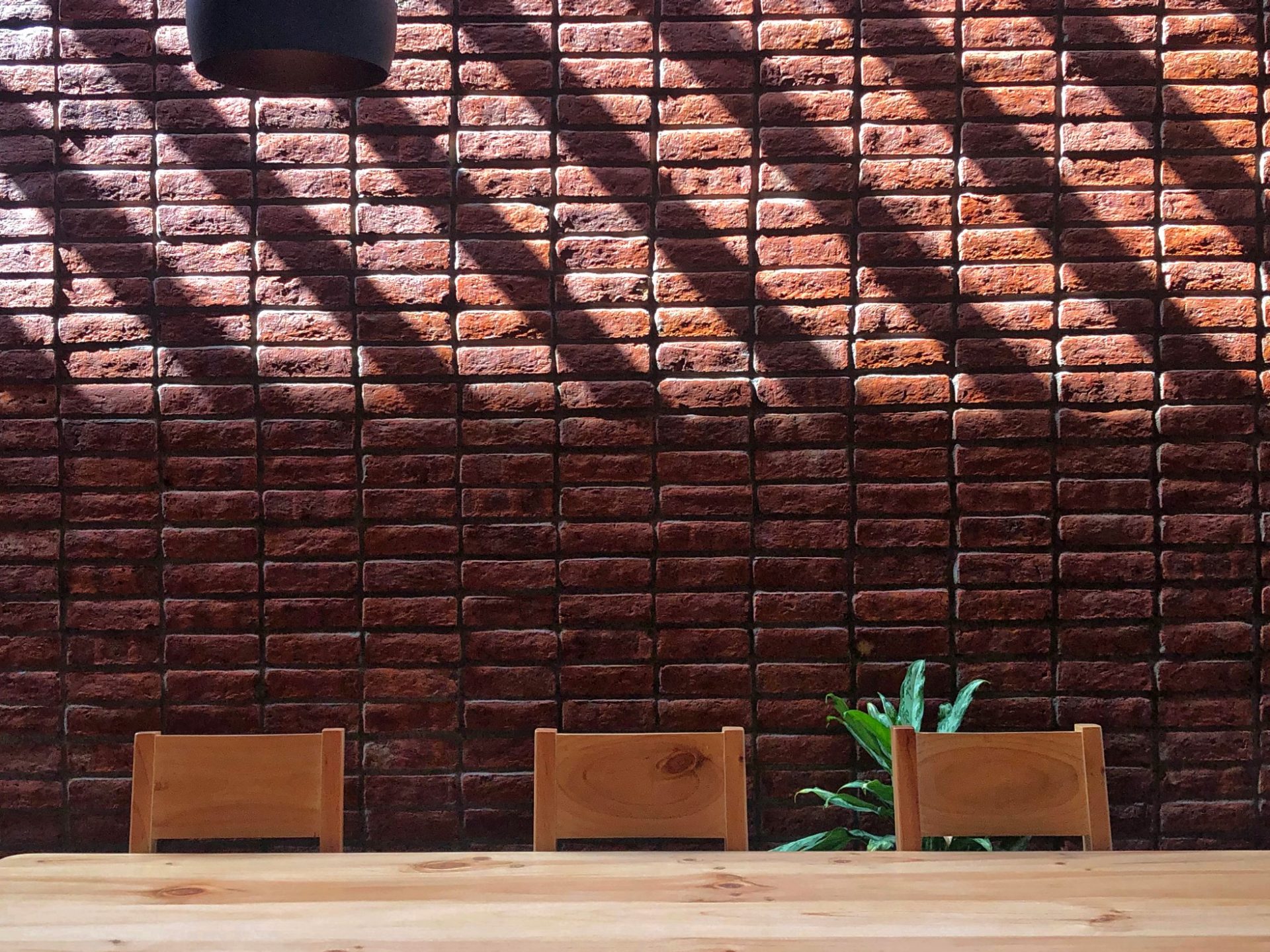 The House that Habitates. Brick Award 22 Category "Feeling at home". Natura Futura. Inside view