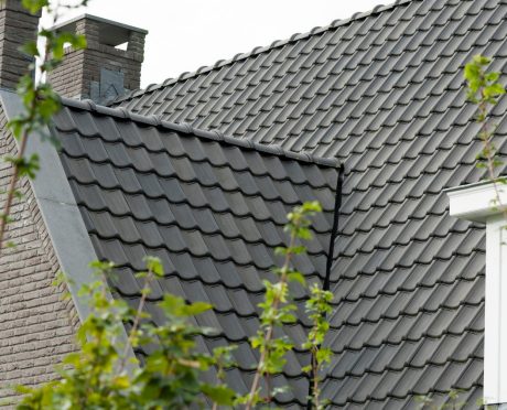 VHV Blauw Gesmoord 706 | Nieuwbouw Vrijstaande Woning | Ubbeschoterweg, Renswoude | Completion Date: 2008-01-01