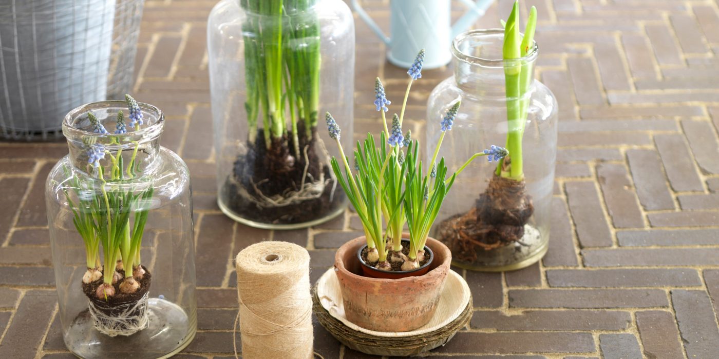 Tuinstijl Classica, series 1 - 2012 - tuinen. Straatbakstenen series: Wienerberger Classica serie.