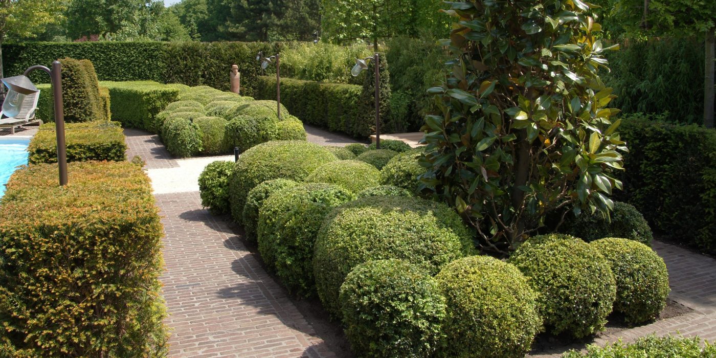 Björn Meulenberg Tuinontwerp & Advies