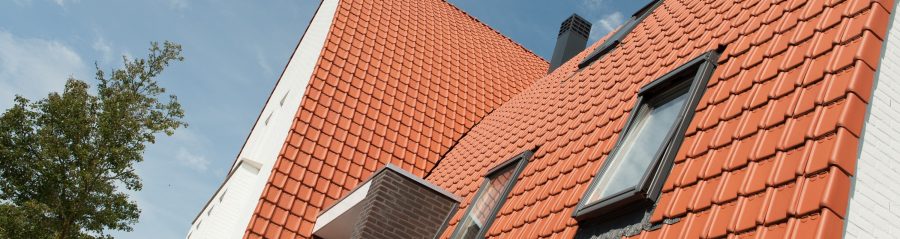 Architectuurstijl Vida