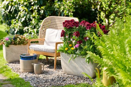 Tuinbranche Nederland