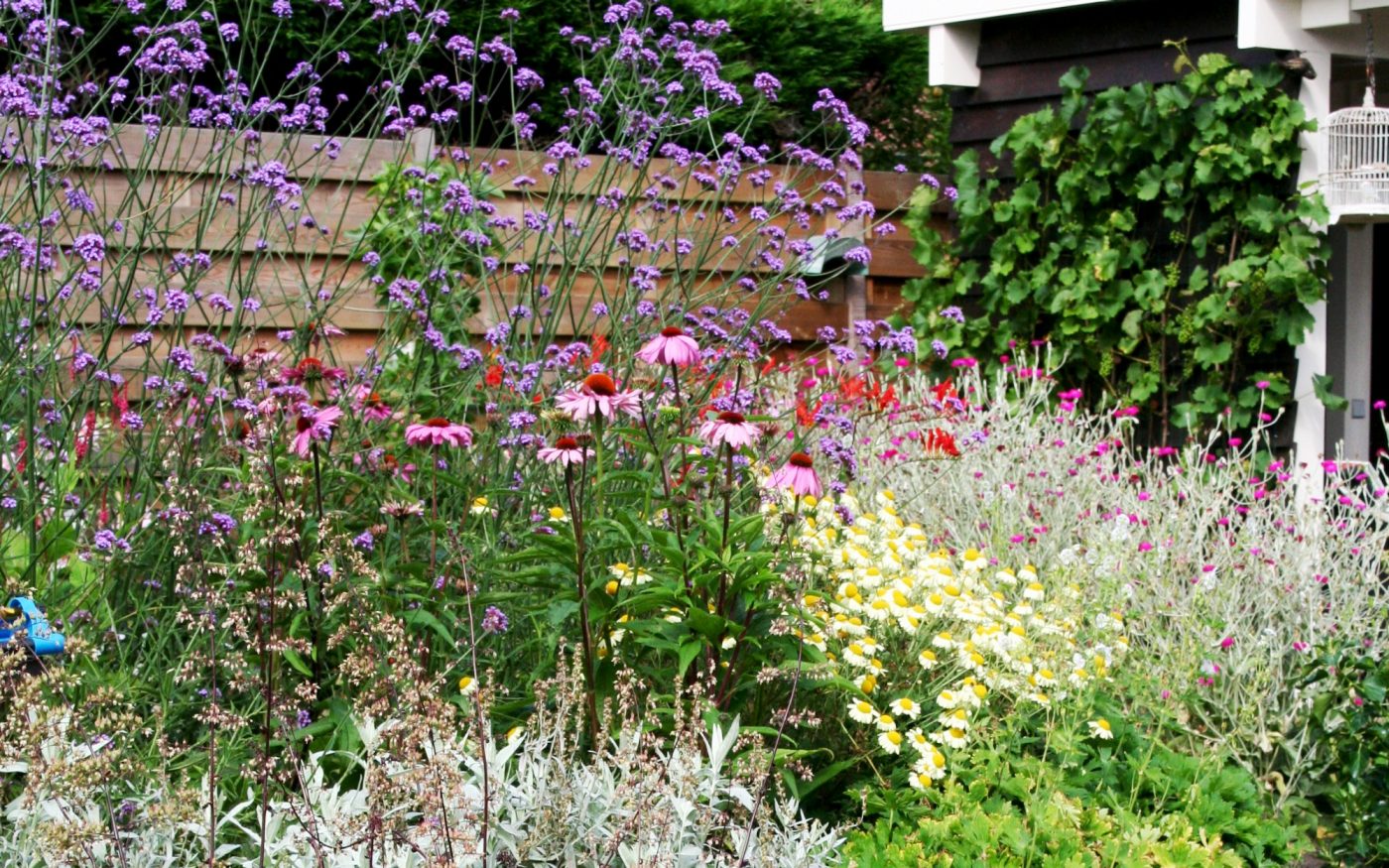 Imagine! Magazine sfeerbeeld | Alleen te gebruiken in Nederland