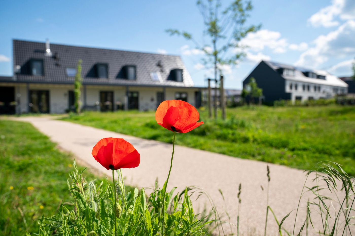 Nieuwbouwproject 130 woningen | Historische tuin, Nijmegen