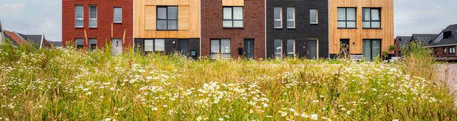 Product: ClickBrick Pure HV Blauwrood genuanceerd, Andalucia, Zwart. Aannemer: Ekowood Houses, Verhaegh Ekobouw en Bouwbedrijf Regeling. Nieuwbouwproject Ekowood Houses | Wiarda, Leeuwarden