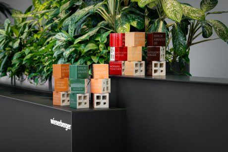 Brick_Award_Trophy_rowE4126_low-res