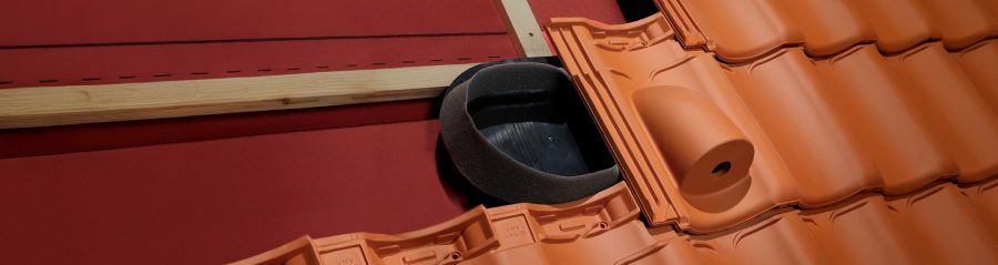 Sfeerbeeld van de vogelnestschaal