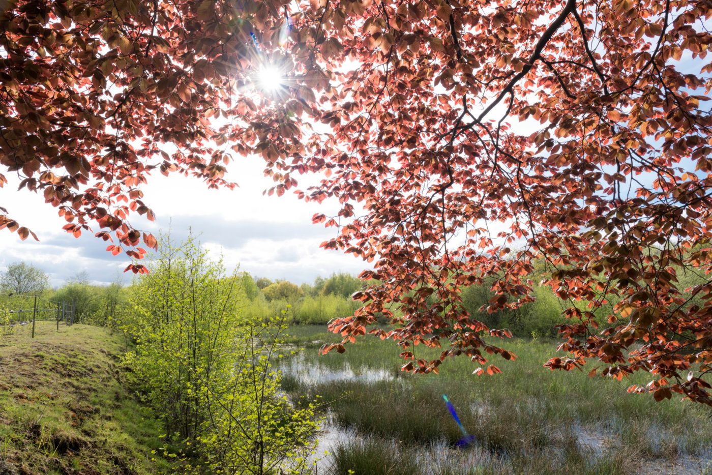 Opwelling van verlaten kleiputten | Wienerberger Beerse