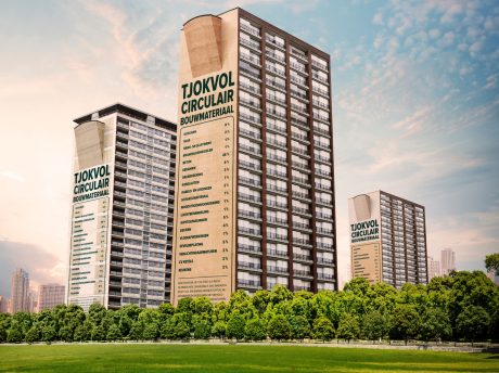 New Horizon CicloBrick Tjokvol Circulair