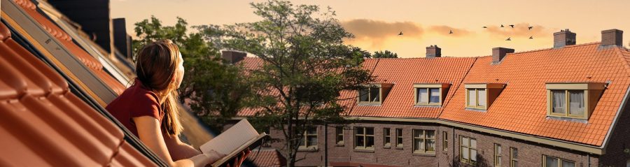 De charme van het Hollands dak