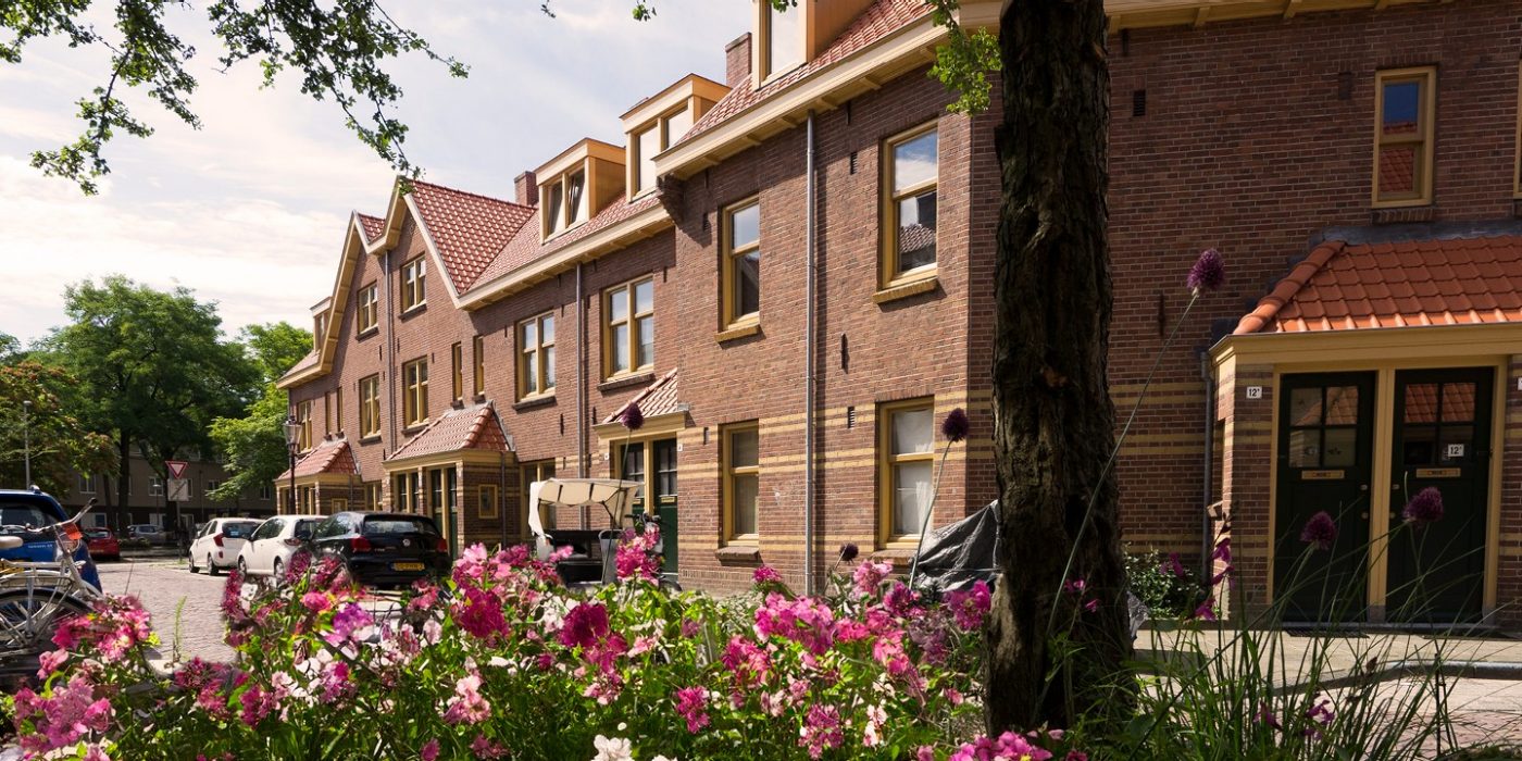 Sfeerbeeld van het Hollands dak met de vogelnestpan