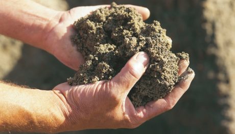 Photography of hands holding clay