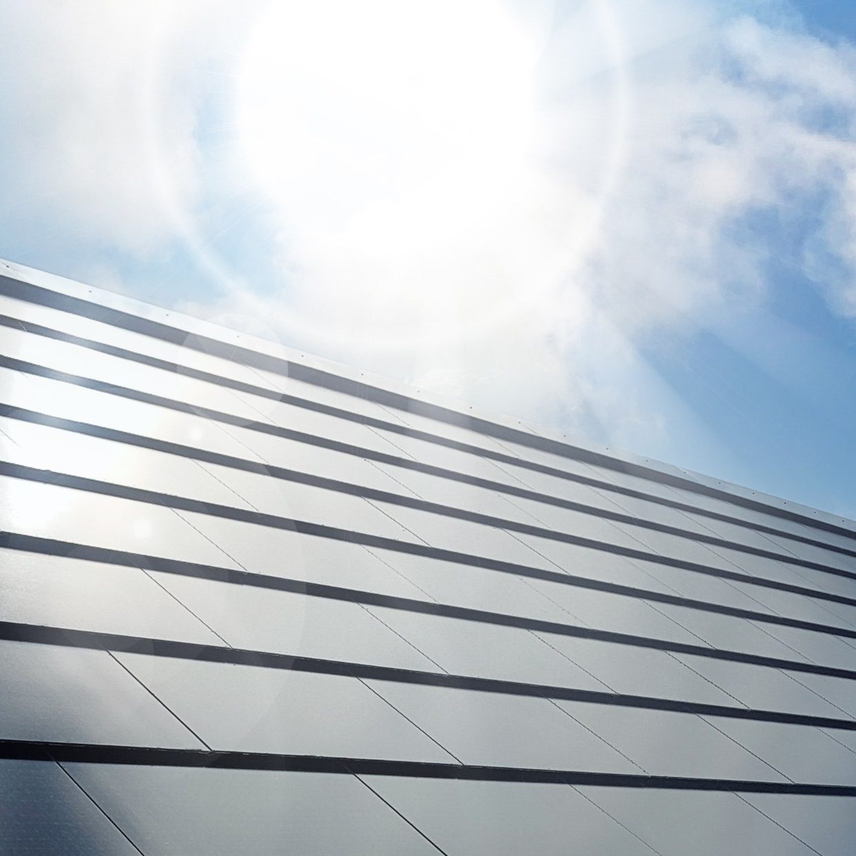 Een tevreden huiseigenaar met Wevolt Alegra 10 zonnedakpannen.
