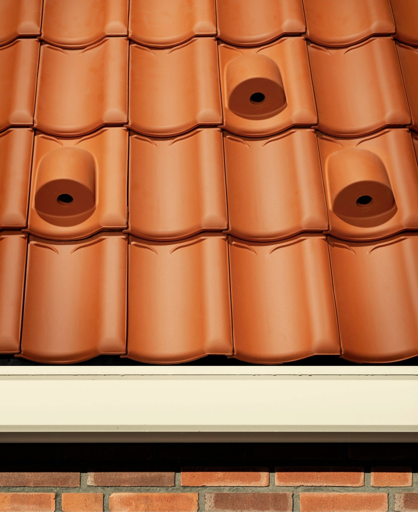 Sfeerbeeld van het Hollands dak met de vogelnestpan