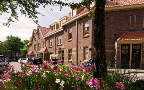 Sfeerbeeld van het Hollands dak met de vogelnestpan