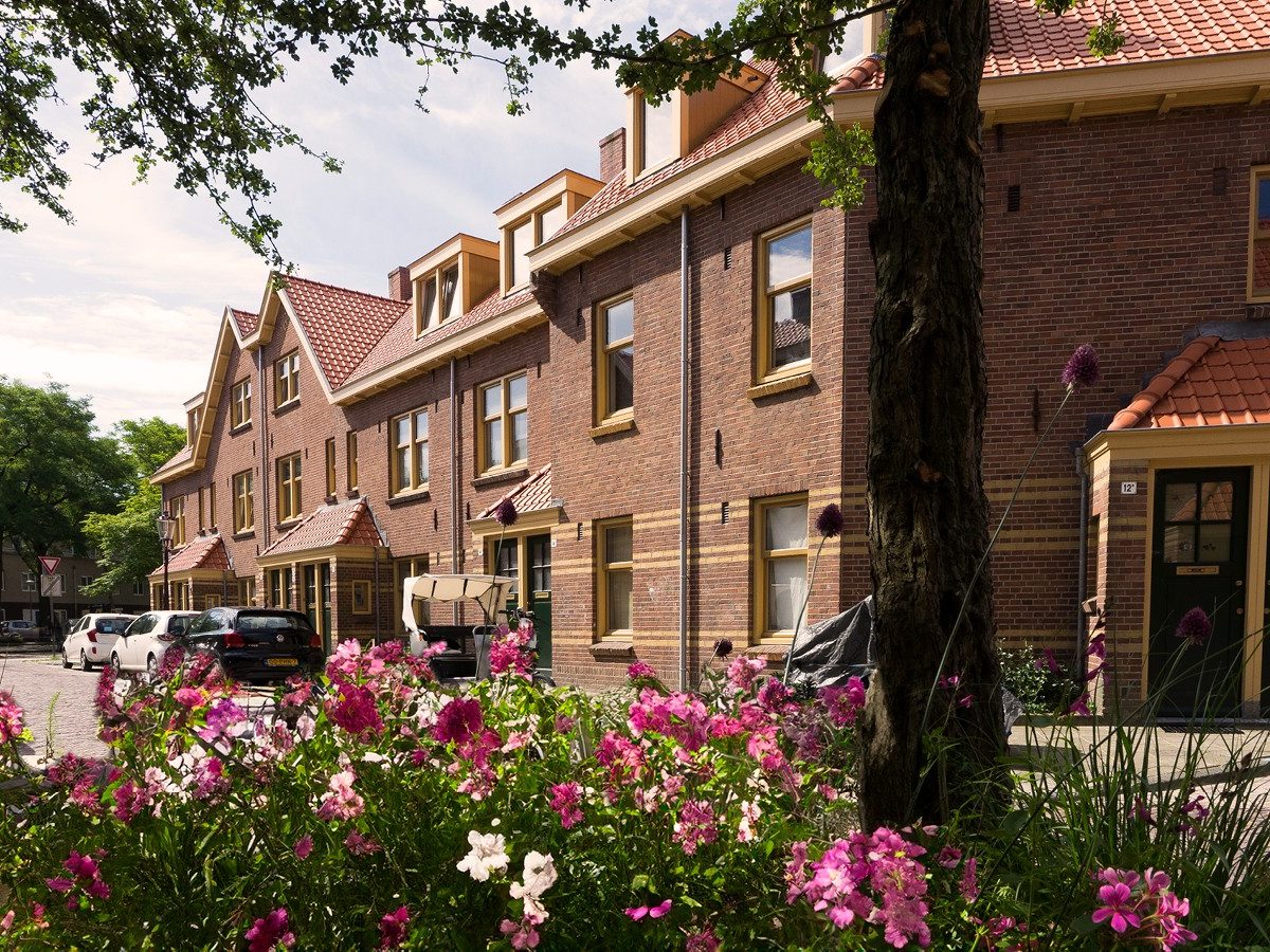 Sfeerbeeld van het Hollands dak met de vogelnestpan
