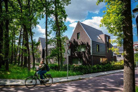 Nieuwbouw vrijstaande en geschakelde woningen met dakpan Domino, Soesterberg