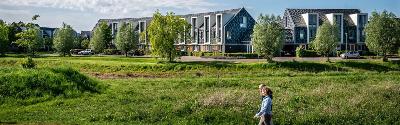 Nieuwbouw geschakelde woningen met dakpan Domino, Lent