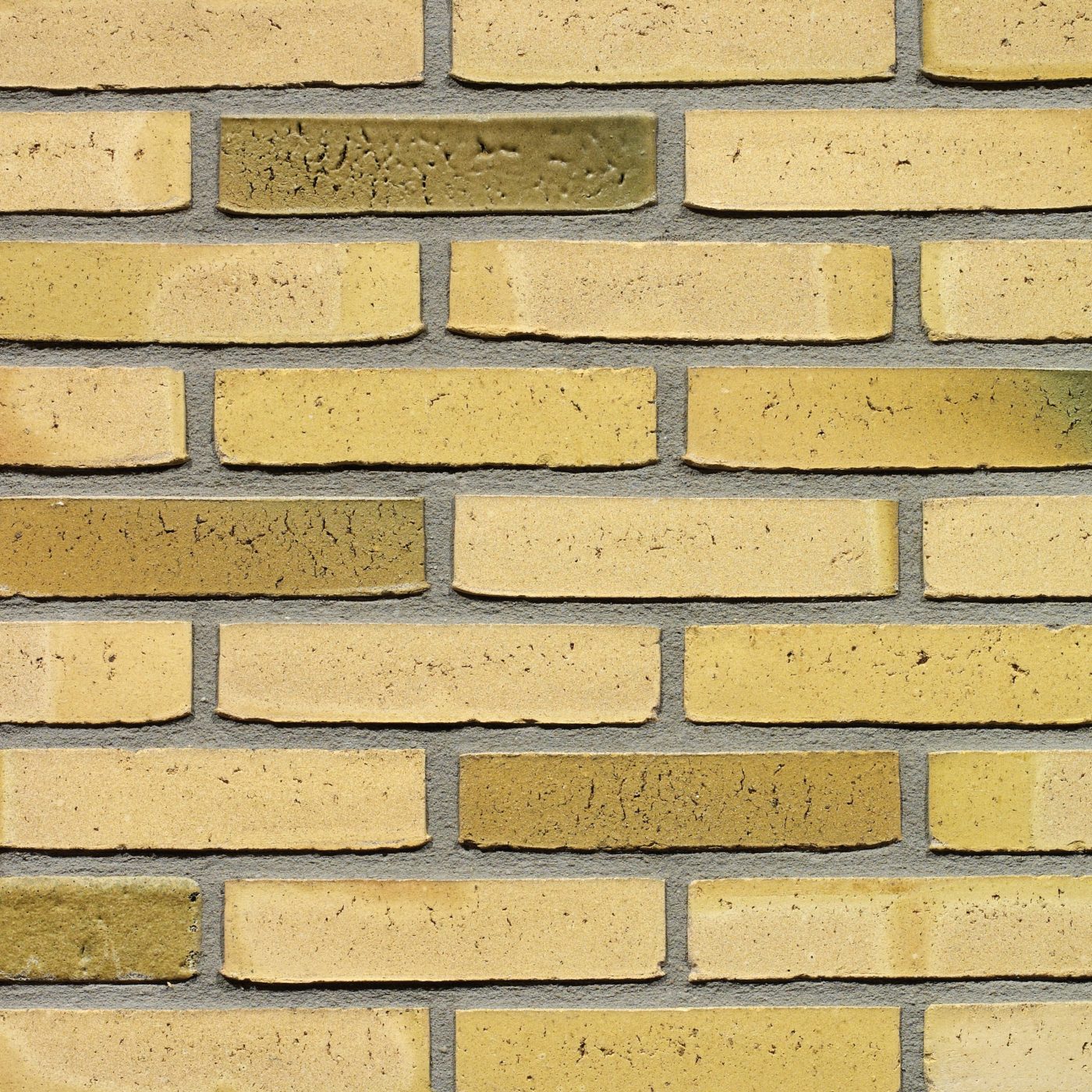 Productshot van de Teunisbloem WS WF gevelbaksteen