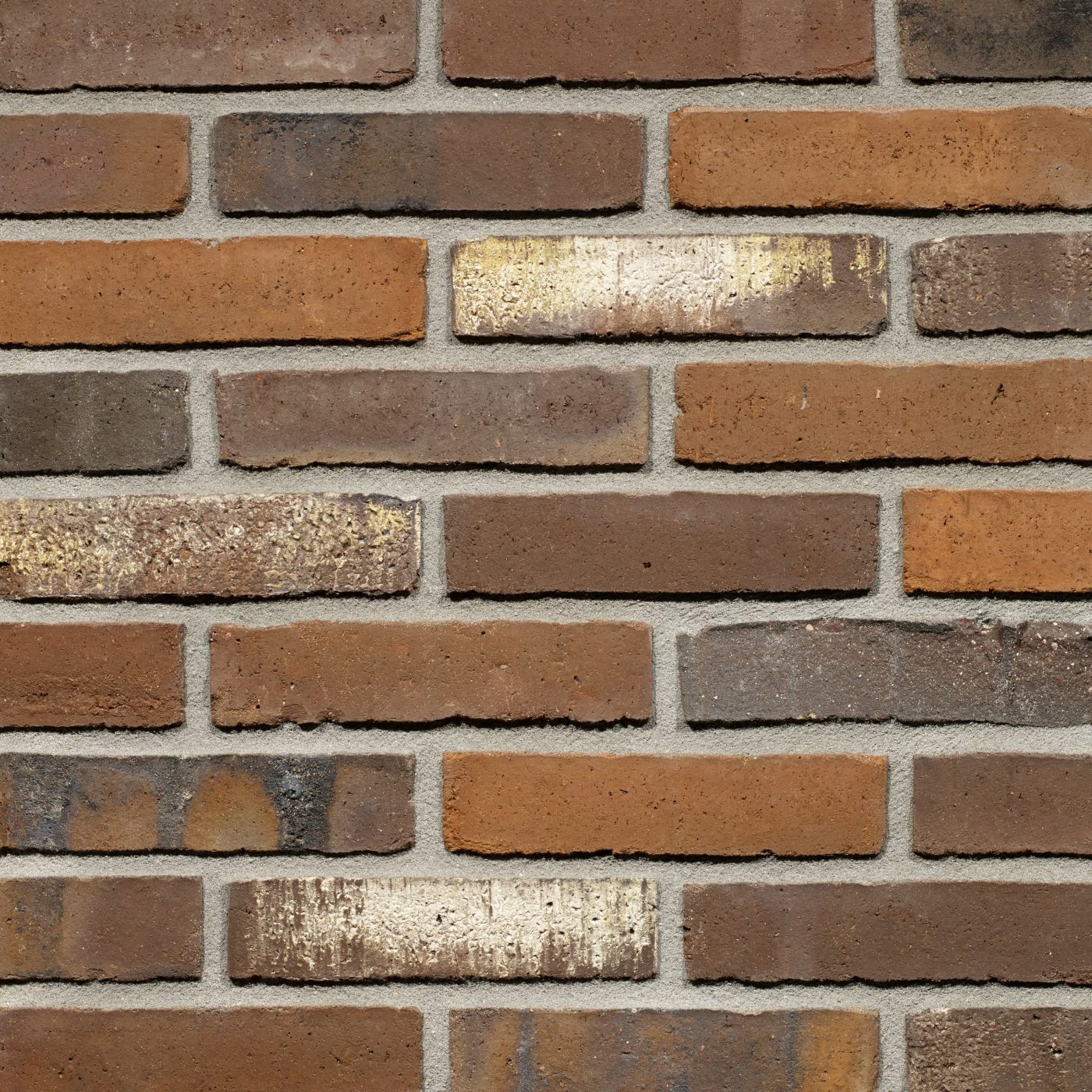 Productshot van de Maestra WS WF gevelbaksteen