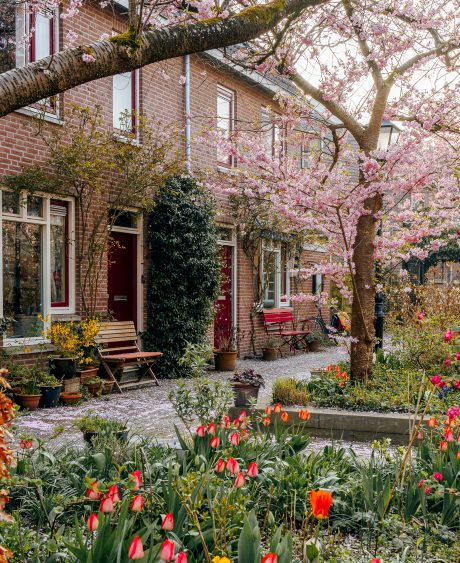 Sfeerbeeld van een straat in de lente