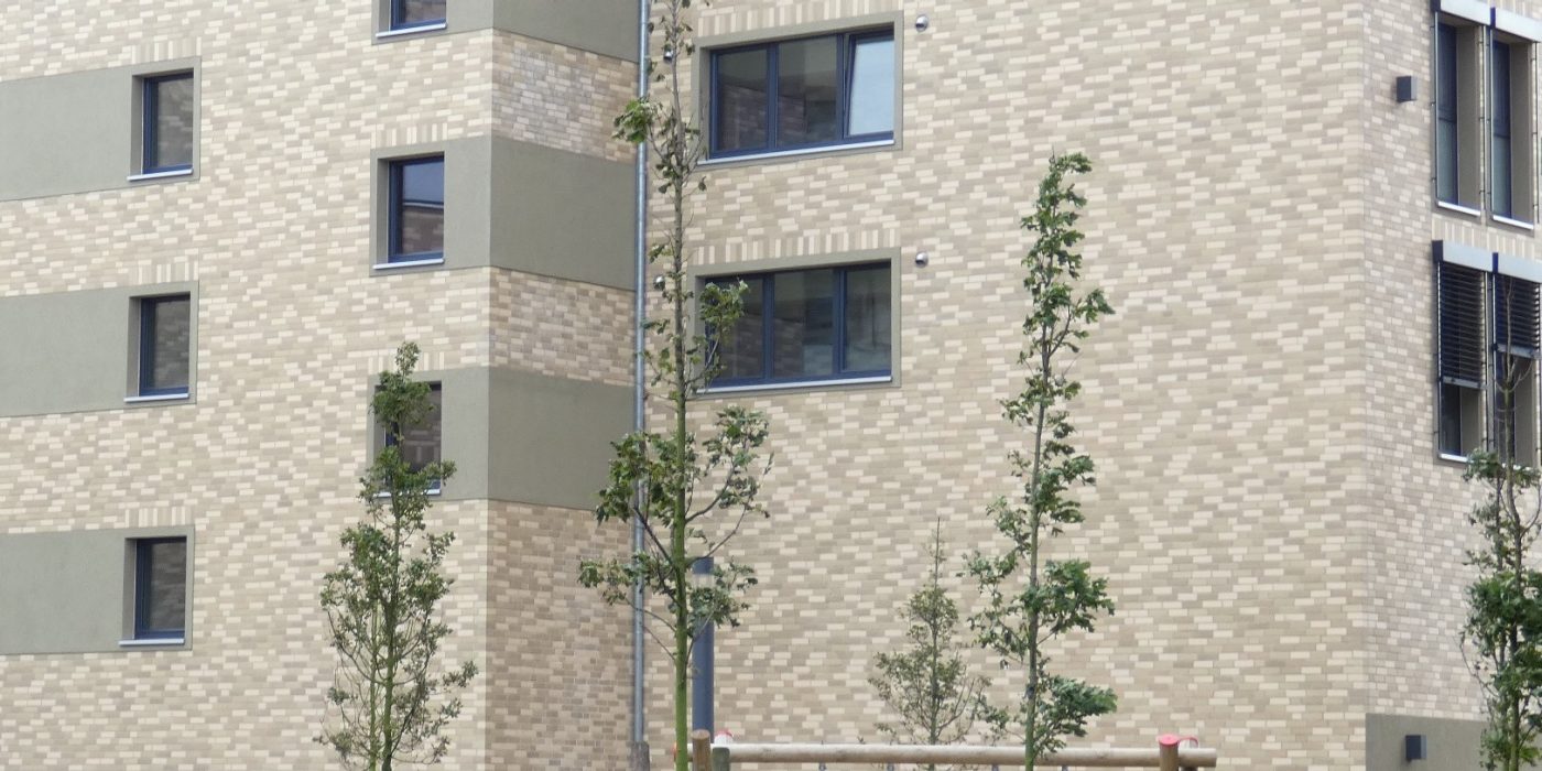 Ammonit Brick Slips