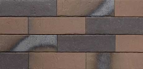 Pelaris_Maroon_Brown