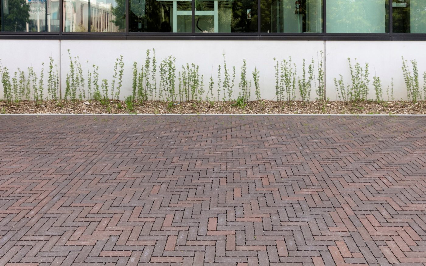 Passaqua Doris. Avantgarden, Wijnegem