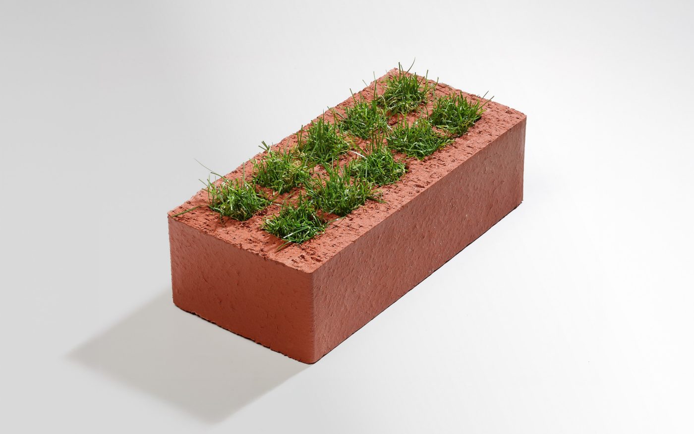 Grassteen - gras laag