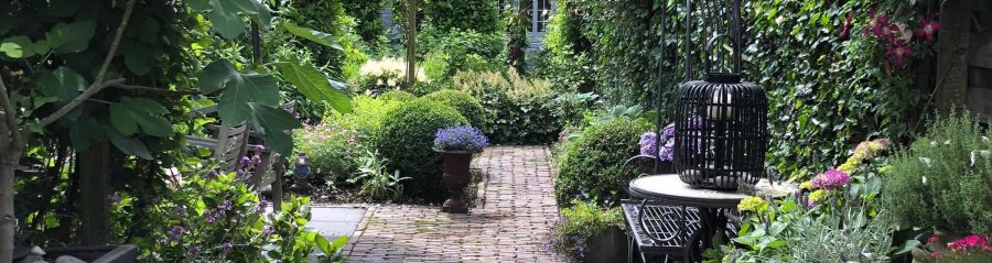 Imagine! 2020 header