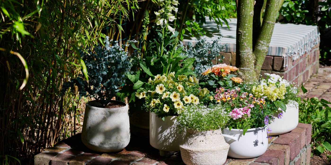 Tuintrends 2023 - Sfeer tuinen