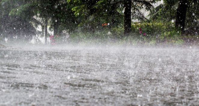 ACO Tuinafwatering | Slim omgaan met regenwater