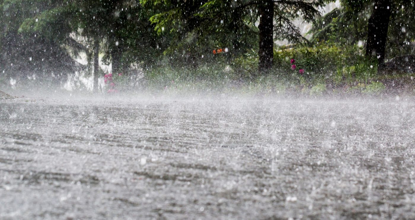 ACO Tuinafwatering | Slim omgaan met regenwater