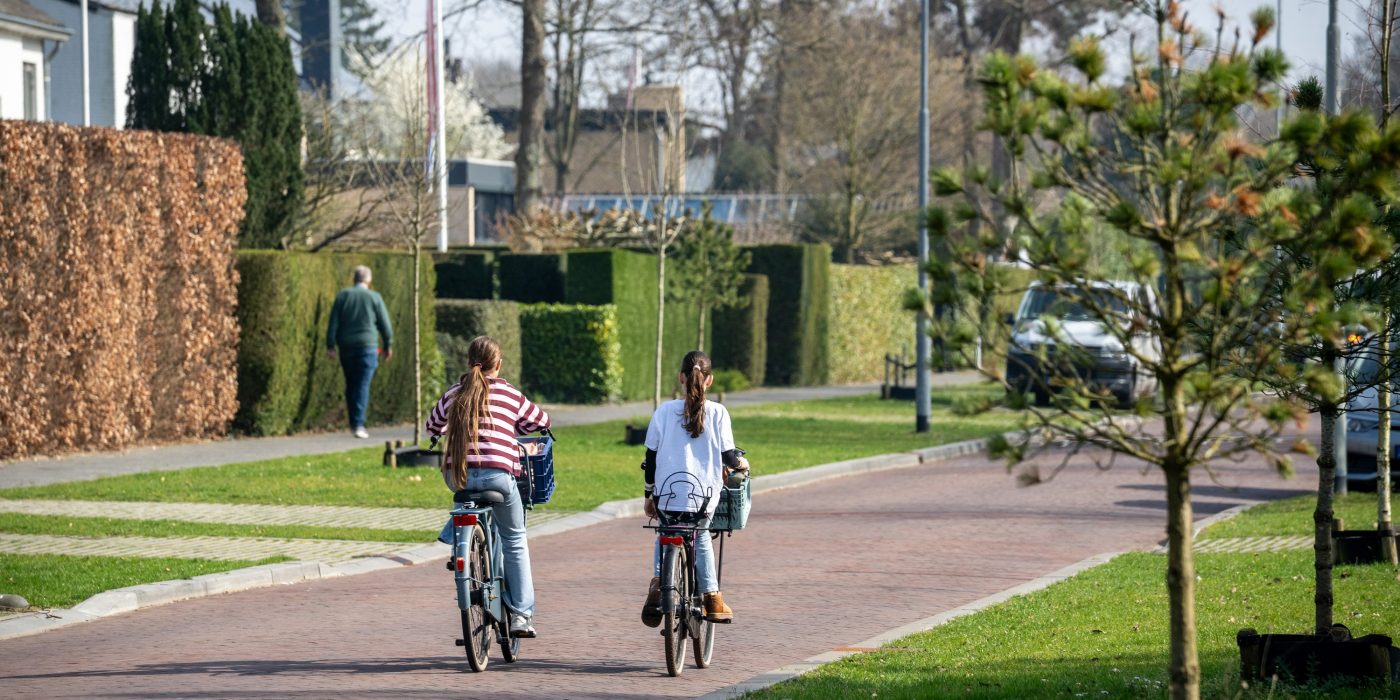 Herinrichting openbare ruimte | Ruitersboslaan, Breda | Straatbakstenen: Ravenna DF en KK80 en de Argenti KK70