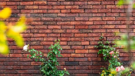 Nieuwbouw 28 woningen | Irenestraat, Rijssen | Gevelbaksteen: Menton en Blauwrood Genuanceerd ClickBrick | Dakpan: Maduramax natuurood+