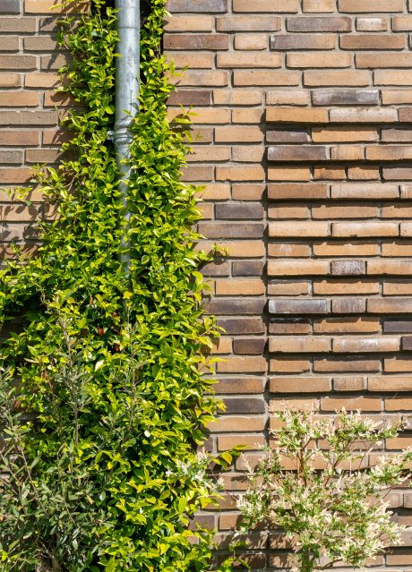 Nieuwbouwproject 130 woningen | Historische tuin, Nijmegen